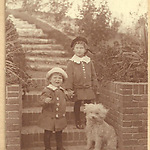 Hans (bovenste), Eddy en hondje Amy op de trap van hun huis in Overveen, ca 1919/1920 (Foto uit privé collectie)