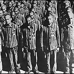De Amsterdamse joden in Mauthausen