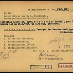 Machil Wertheim, 2-1-1908, krt 4 Buchenwald.jpg