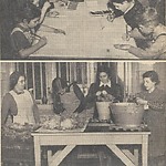 opvang joodse kinderen uit Dld, zaans volksdagblad 26 nov 1938.jpg