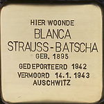 Struikelsteen Blanca Strauss-Batscha 300dpi.jpg