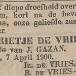 Vries Grietje in Nieuwsblad van het Noorden 13-04-1900.jpg